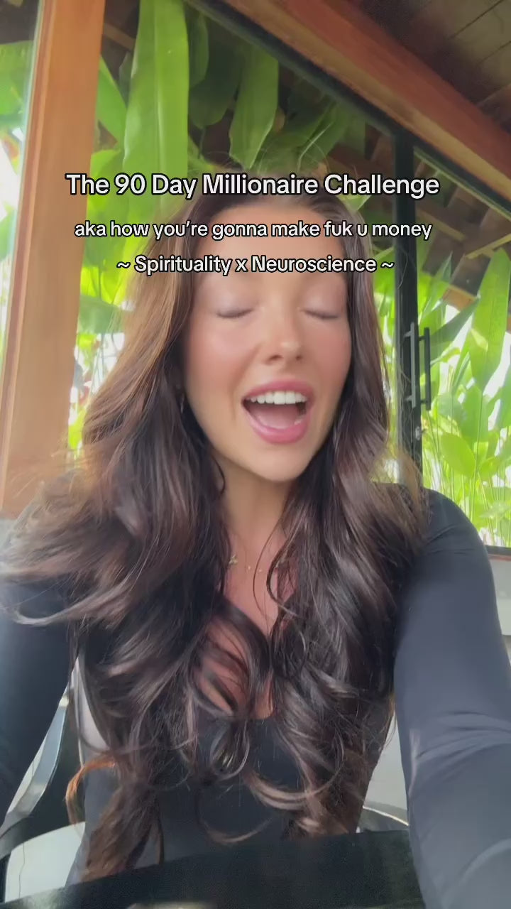 The 90 Day Millionaire Guide // Digital
